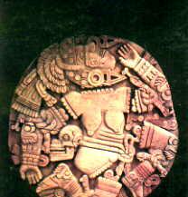 tm.jpg (10707 bytes)