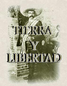 zap.jpg (21941 bytes)