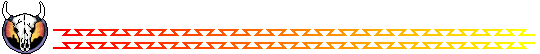 southwestern bar design