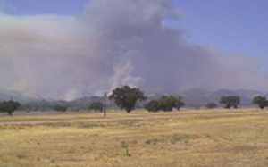 fire 2.jpg (37939 bytes)