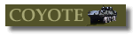 COYOTE