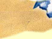 d1_3.jpg (3921 bytes)