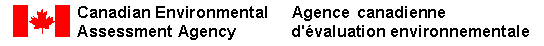 ceaaflg.gif (2351 bytes)