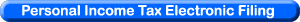 Personal Income Tax Electronic Filing