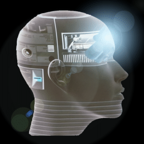 Cranio.gif (47311 bytes)