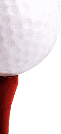 Golf Ball.GIF (31426 bytes)