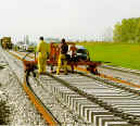 Trackelast rail pads
