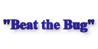 Beat the Y2K Bug!!!