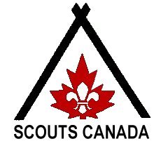 scoutlogo.jpg (11307 bytes)