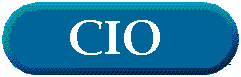 Link to Chief Information Officer information