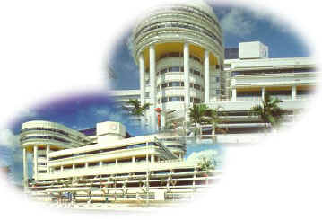 hospital.jpg (12145 bytes)