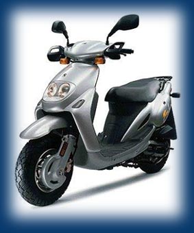 jungle50.jpg (23593 bytes)