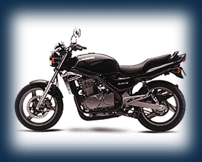 er5.gif (25450 bytes)