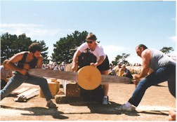 logsho2.jpg (17286 bytes)