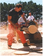 logshow.jpg (14481 bytes)