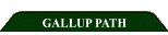 Gallup Path