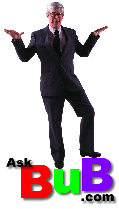 Hi, I'm Bub, and i HaX0reD yu.