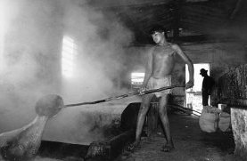 trabalhoinfo.jpg (10541 bytes)