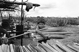 trabalhoinfo2.jpg (21505 bytes)