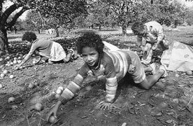 trabalhoinfo3.jpg (23458 bytes)