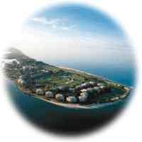 Our islands will rescue you