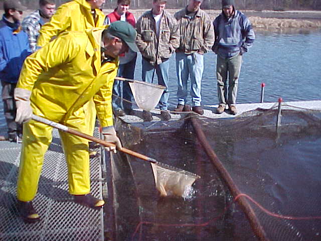 image/mvc-001s.jpg, 51.7K