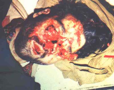 SHAHEED ZINDA REHTAY HEIN