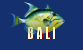 Diving in Bali