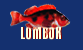 Diving in Lombok