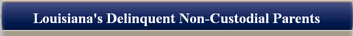  Louisiana's Delinquent Non-Custodial Parents 
