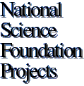 NSF Project Title