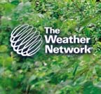 mst_en_l_1.jpg (6018 bytes)