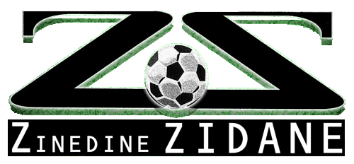 logo.gif (29443 octets)