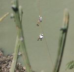 Rapel da Equipe Bizarro's na ponte! foto: Tavares