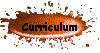 Curriculum
