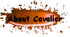 About Cavalier