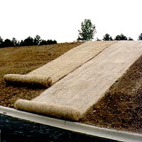 blankets.jpg (11006 Byte)