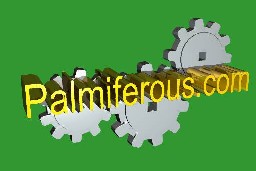 Welcome to Palmiferous.com