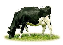 mmmMmMMmMOOOooOOoOOOoooo