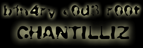 b1n4ryc0d3_2.gif (25038 bytes)