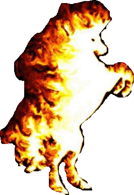 fire horse 03.gif (45317 bytes)