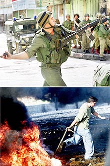 29montagem.jpg (25987 bytes)