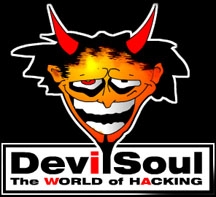 ds.jpg (27485 octets)