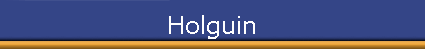 Holguin