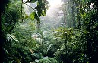 Monteverde, Costa Rica