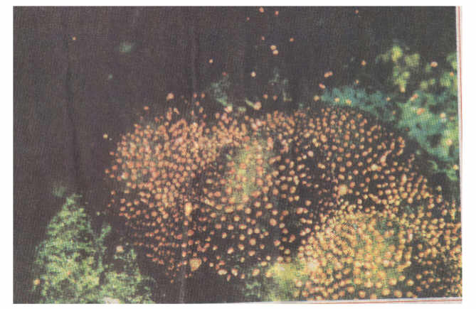 sea.jpg (45004 �Ӧ줸��)