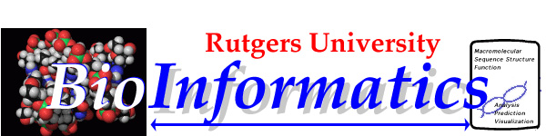 Structural Bioinformatics at Rutgers