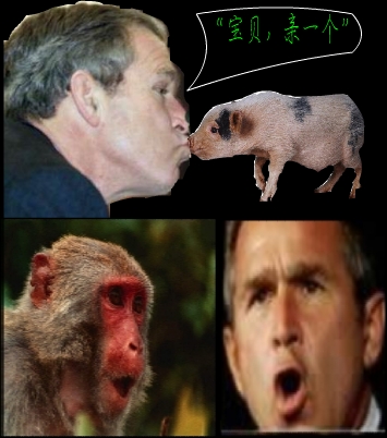 121.jpg (101886 bytes)