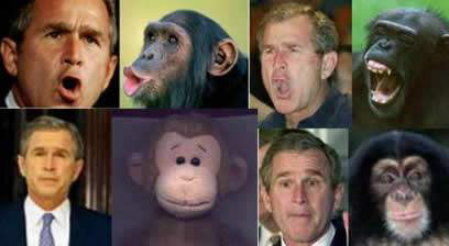 122.jpg (32182 bytes)