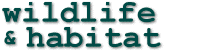 "Wildlife & Habitat"